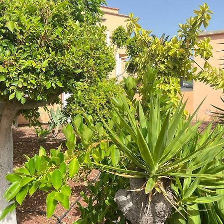 Ocean View Apartment In Orlando Costa Adeje  Zewnętrze zdjęcie
