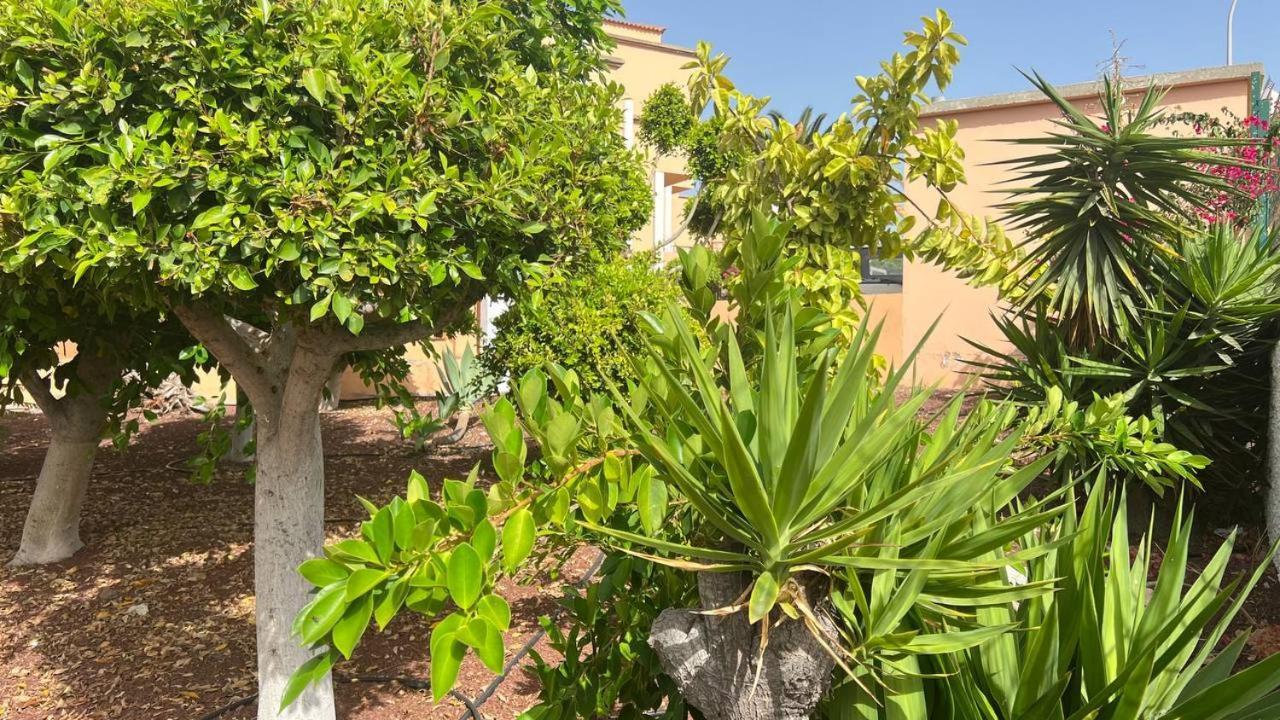 Ocean View Apartment In Orlando Costa Adeje  Zewnętrze zdjęcie